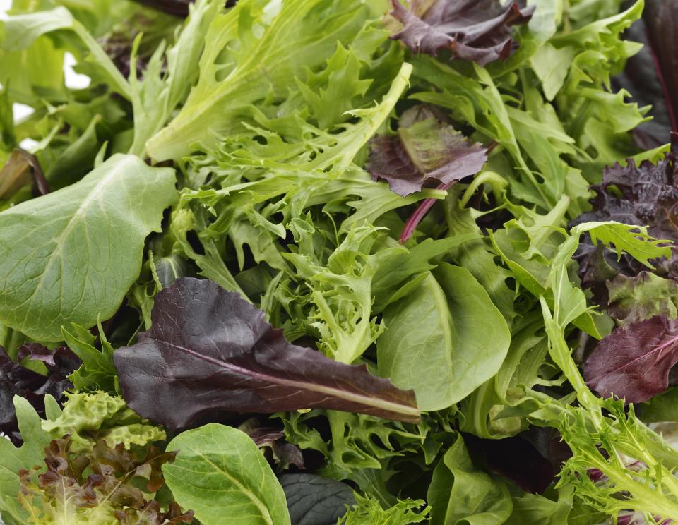 Salad Leaves. Image shot 10/2013. Exact date unknown.