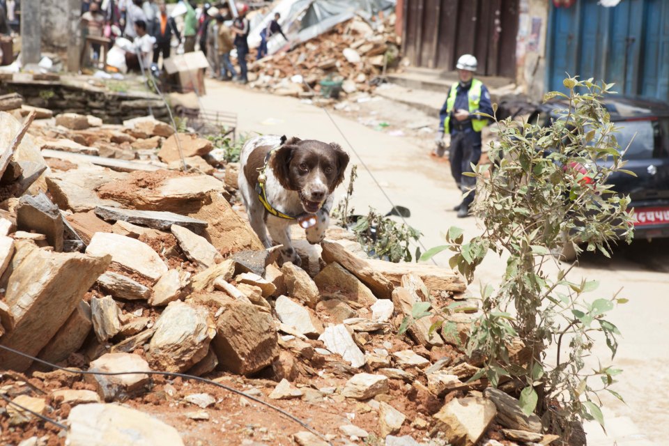 Nepal earthquake aftermath.