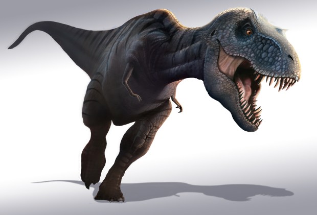 All birds living today are descended from a particular family of dinosaurs