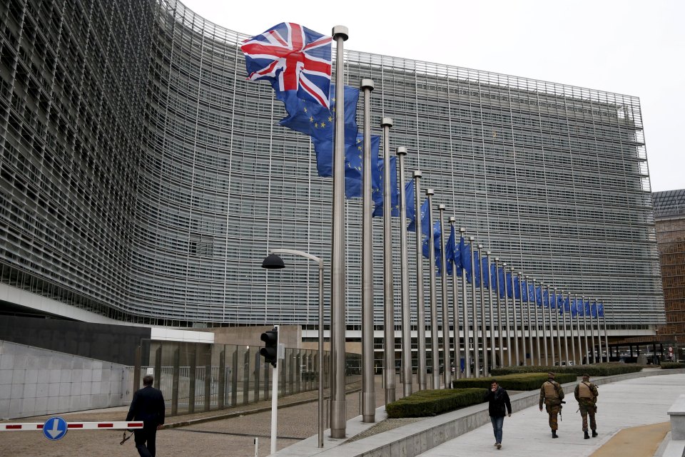 Article 50