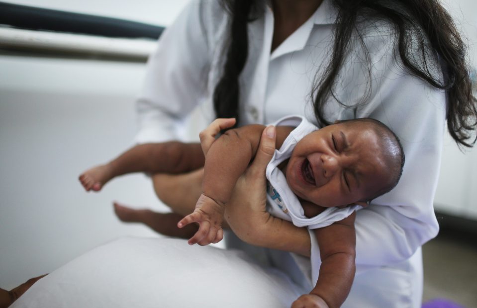 Brazil Faces New Health Epidemic As Mosquito-Borne Zika Virus Spreads Rapidly