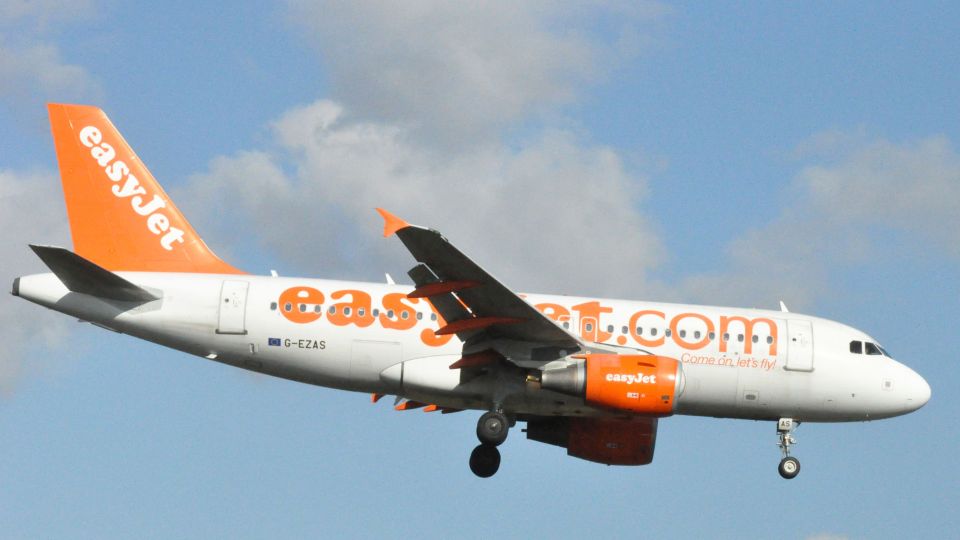 File photo of an easyJet plane on a flight - last Thursday a craft was involved in a bird strike