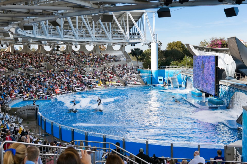 One of the attacks on the marine park chain lasted for three days