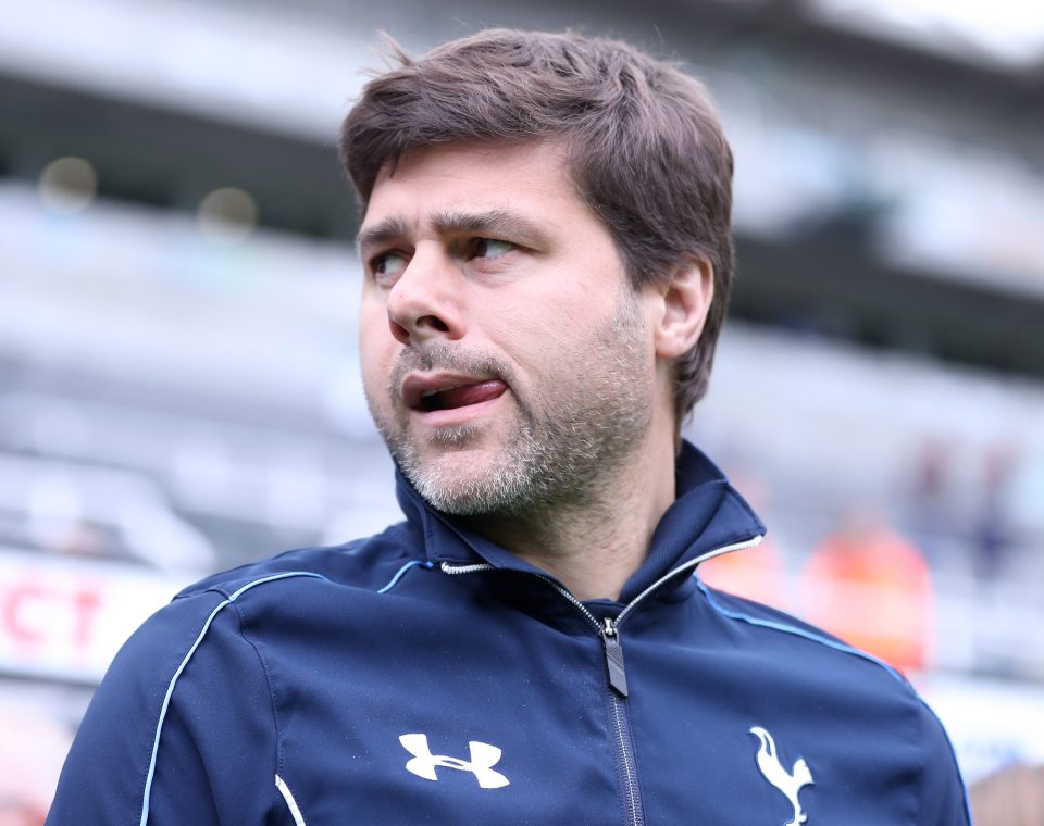 Tottenham boss Mauricio Pochettino wants frontline reinforcements to help out Harry Kane