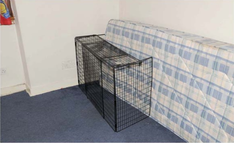 Cage standing