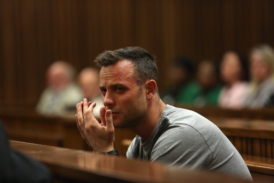 Pistorius cried during the courtroom hearing which included details of how much pain Reeva Steenkamp would have been in during her final moments