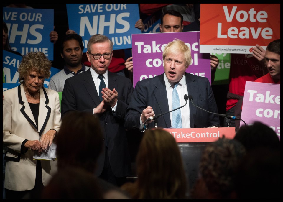 Bye, bye Boris... Gove KO'd Johnson by withdrawing support