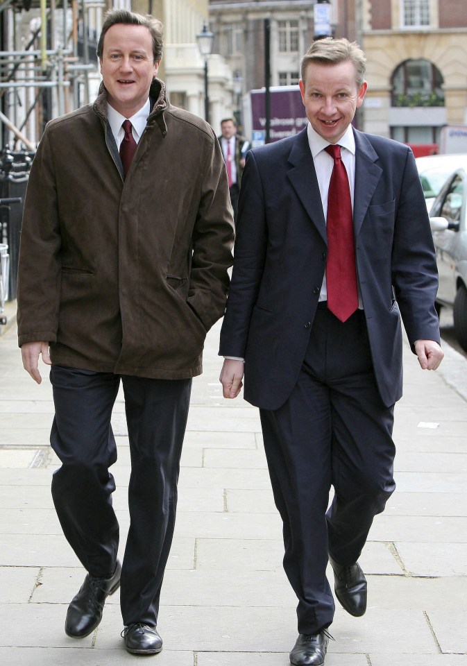 Bu the relationship disintegrated as Mr Gove's ambitions to usurp his friend as the leader of the Tories began to move sharply into focus this week