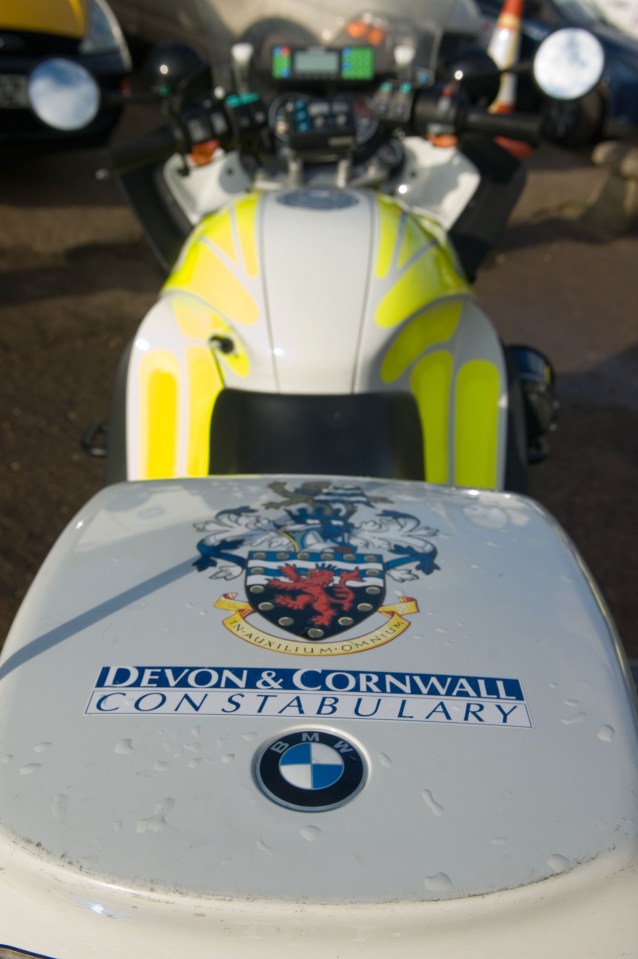 The teen also attacked the website of Devon and Cornwall Police which was down for 44 minutes