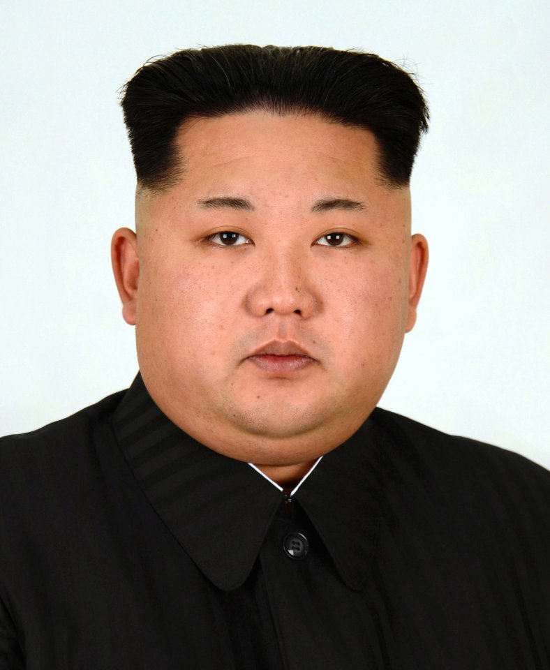 North Korean leader Kim Jong Un's profile picture is shown in this photo released by North Korea's Korean Central News Agency (KCNA) in Pyongyang