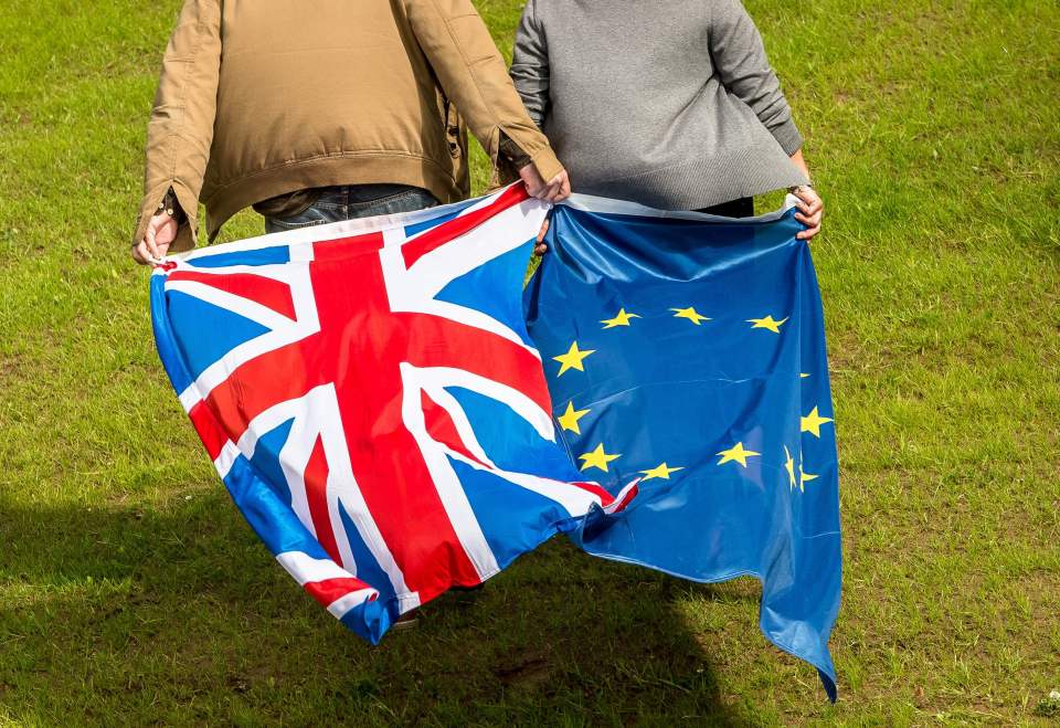 Frustrations over massive queuing in Dover sparked an online debate over Brexit and French Border authorities 