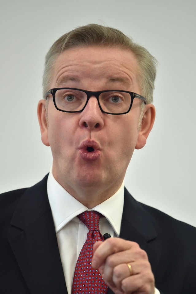 SHM: Michael Gove Leadership Announcement 1st July 2016