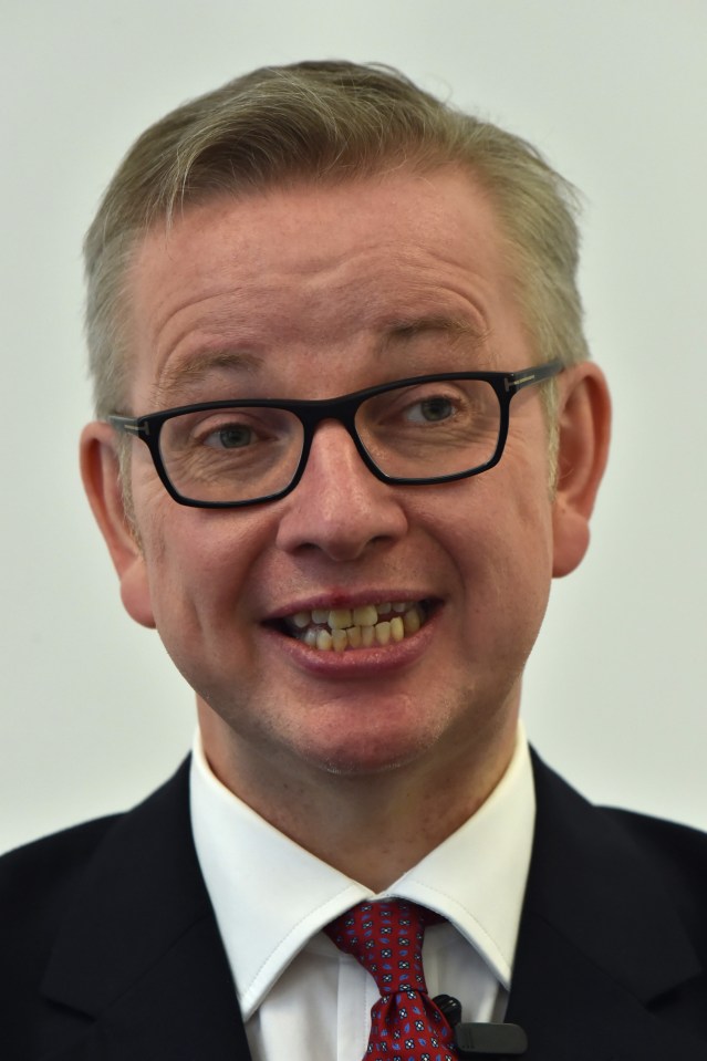 SHM: Michael Gove Leadership Announcement 1st July 2016