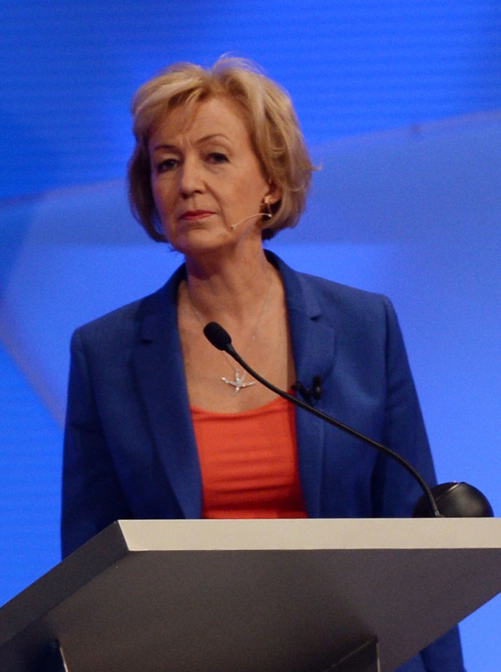 Conservative leadership bid