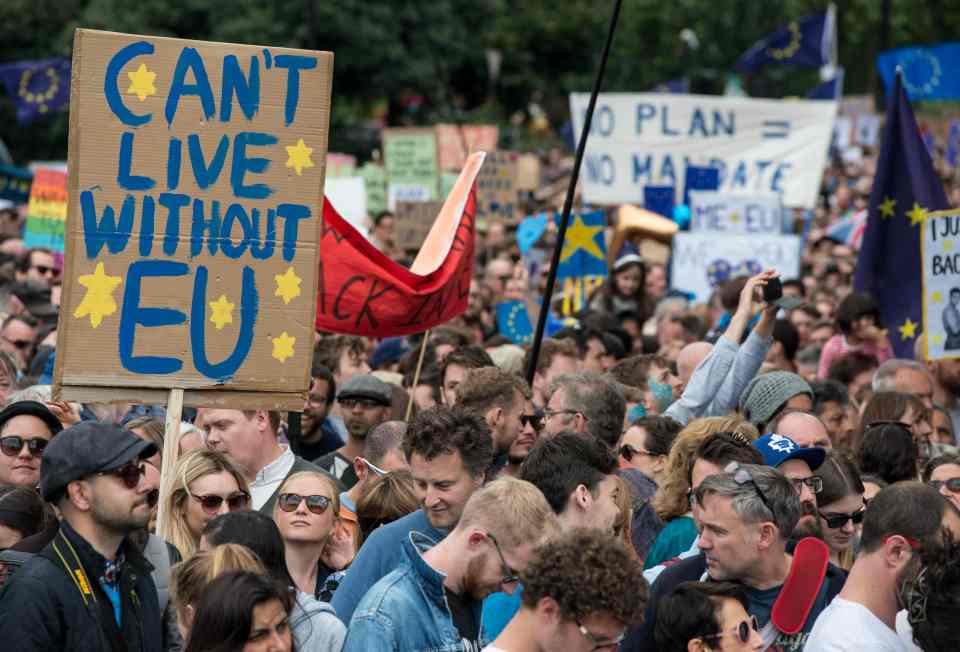 Brexit demo