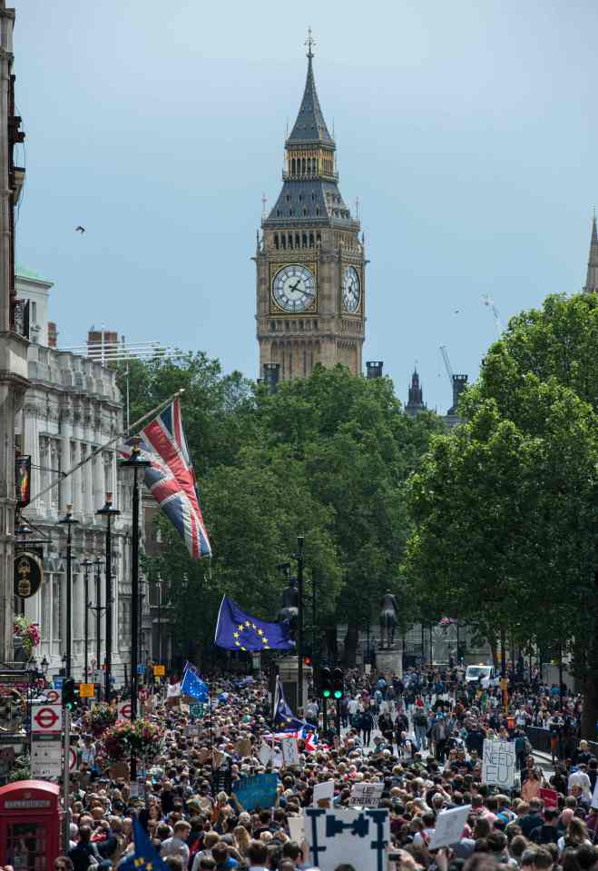 People hold up European flags as thousan