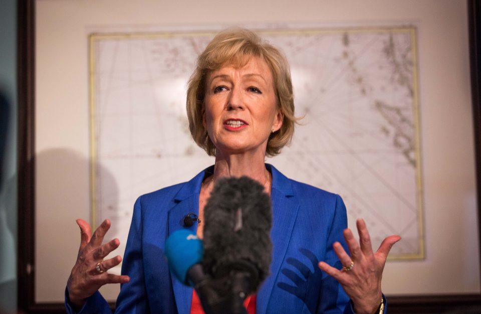 Car crash ... Andrea Leadsom stunned MPs with her pitch about babies' brains