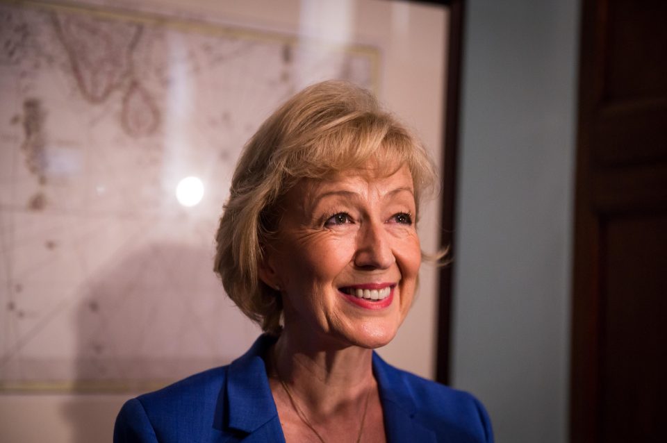 Andrea Leadsom
