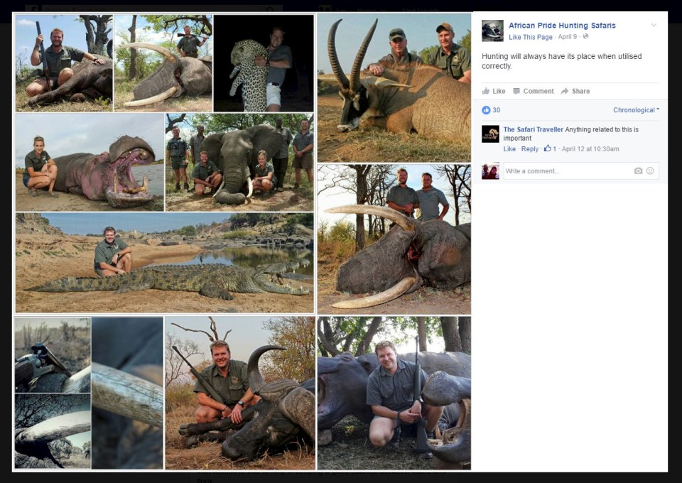 But animal campaigners have slammed the couple for killing endangered species 