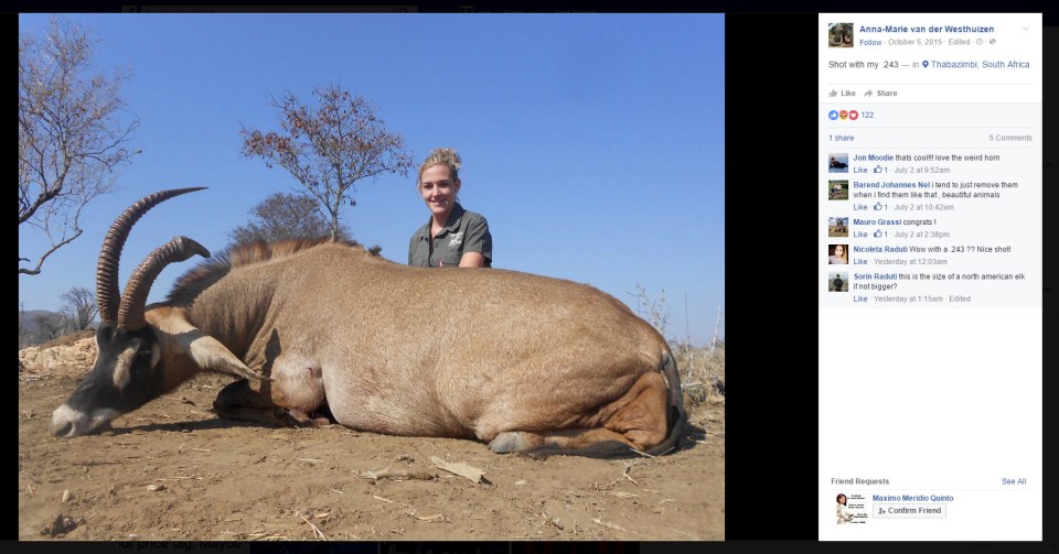 But the couple bizarrely believe they are helping to stop the animals' flight