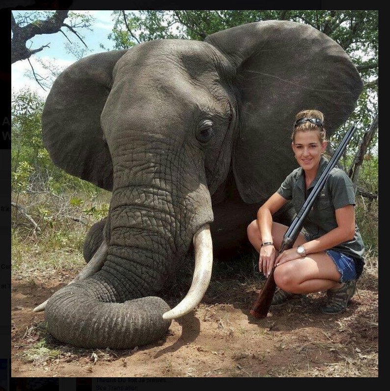 Anna-Marie van der Westhuizen poses alongside an elephant killed on a hunt. The image was posted to Facebook