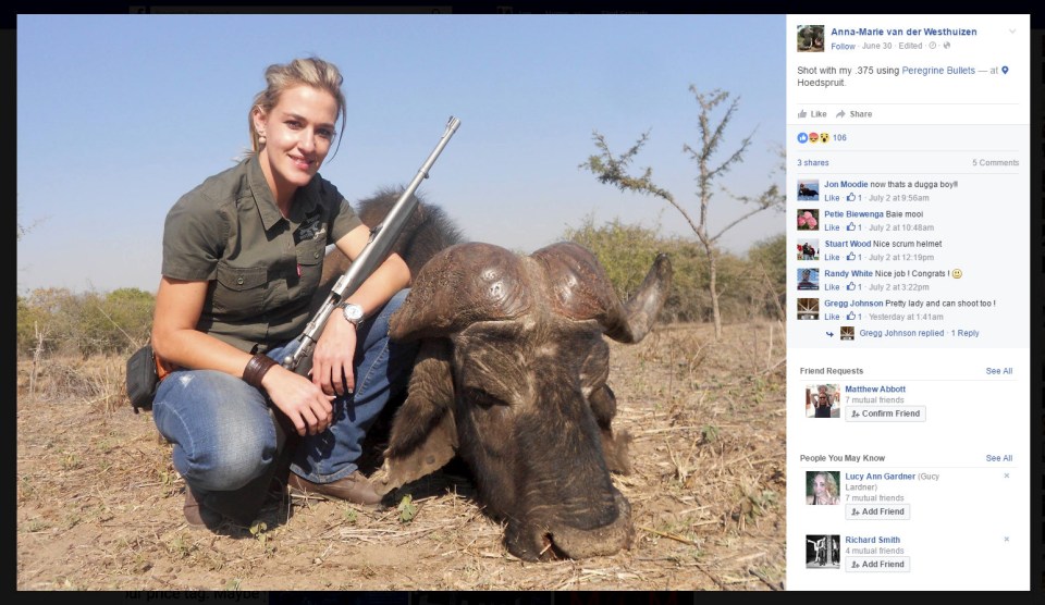 Wildebeast are among a number of animals slaughtered on the hunts, including giraffes, lions and crocodiles