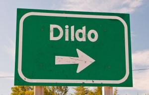 If you fancy an idyllic fishing trip in Newfoundland, head to the little town of Dildo