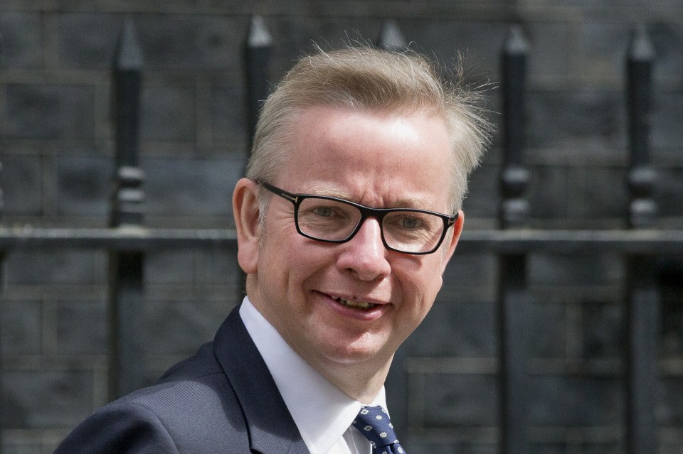 Michael Gove