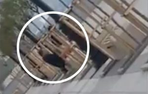 Watch shameless couple having sex on harbour waterfront in full view of the public
