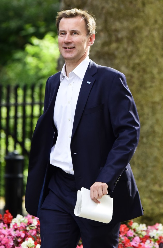 Politicians Spotted At No10 Downing Street In London