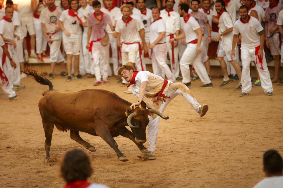 An unlucky runner is pushed over by a raging bull as fellow runners, clad in white and red, look on