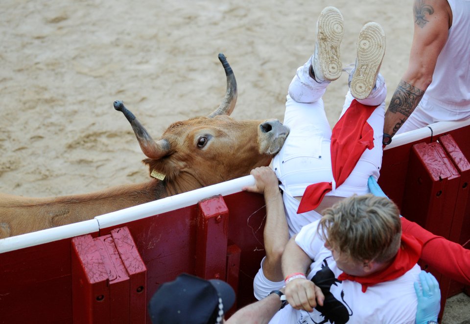 The runs are televised every morning with the participants required to run with six charging bulls through to the bull ring