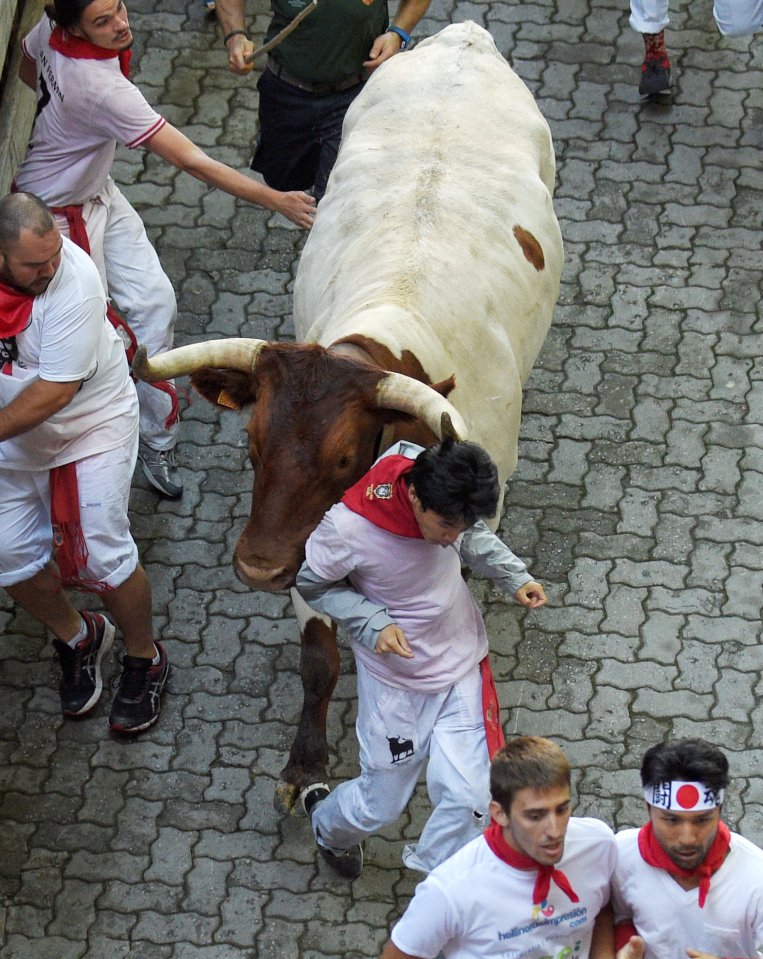 Thursday's run lasted 2 minutes, 28 seconds as the runners and bulls alike ran through the streets
