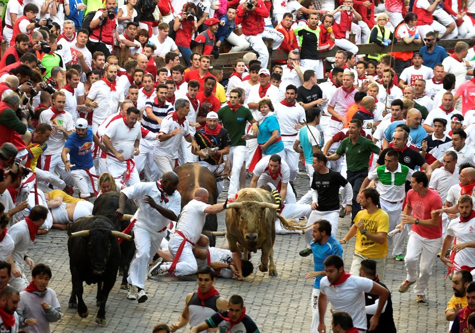The bulls will face fights with matadors in the afternoon and are face certain death