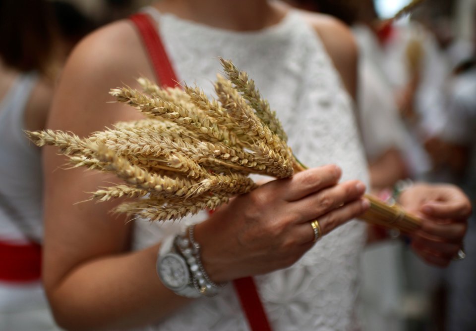 A woman holds wheat, a symbol of the farmers of Navarra, during San Fermin Day