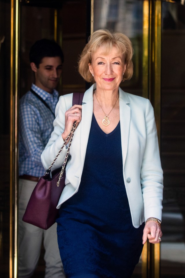 U.K. Energy Minister Andrea Leadsom Delivers A Speech On The Post-Brexit Economy