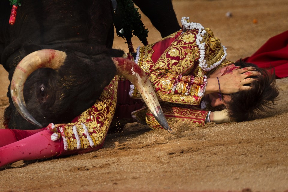 matador gored