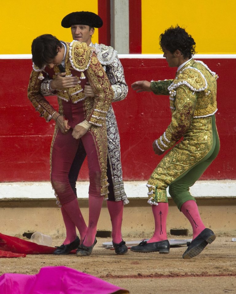 matador gored