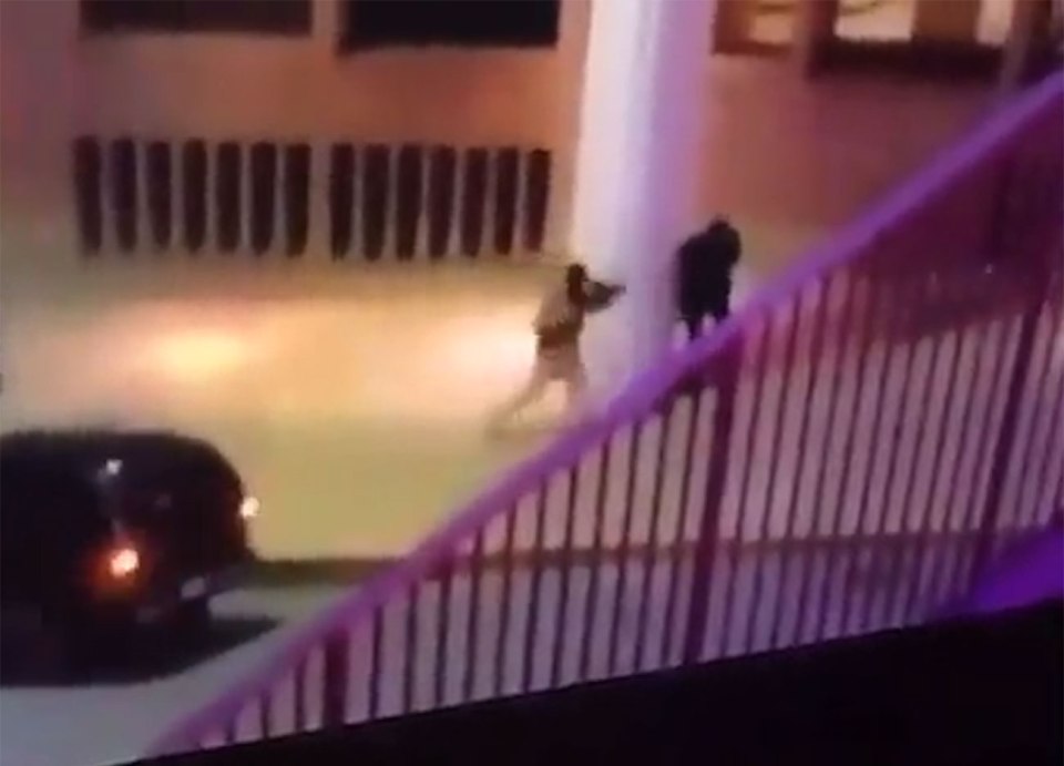 One horrific video caught the moment a hero police officer was shot execution-style as he tried to fight back against the attackers