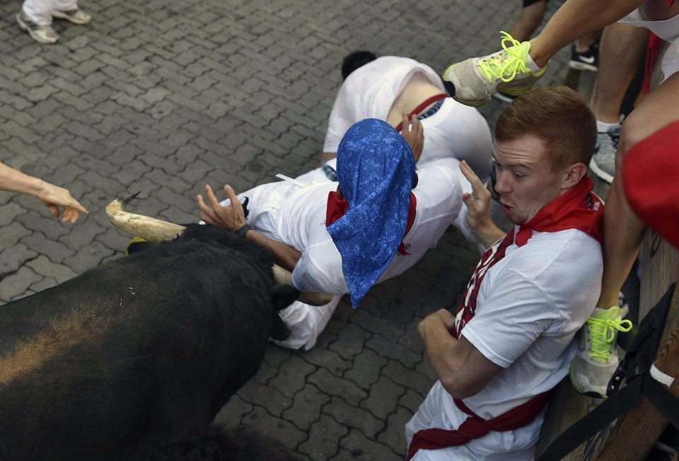 A bull of the ranch Cebada Gago charges against a 'mozo', a runner
