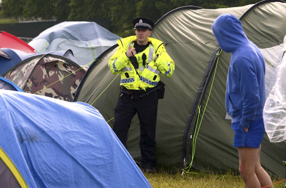 t in the park
