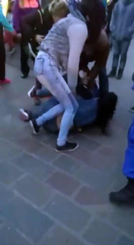teen catfight