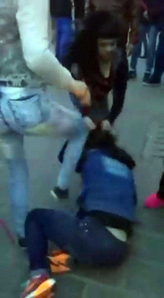 teen catfight