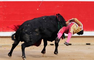 Matador has close encounter with a bull in his privates….but still manages to get up and finish the job