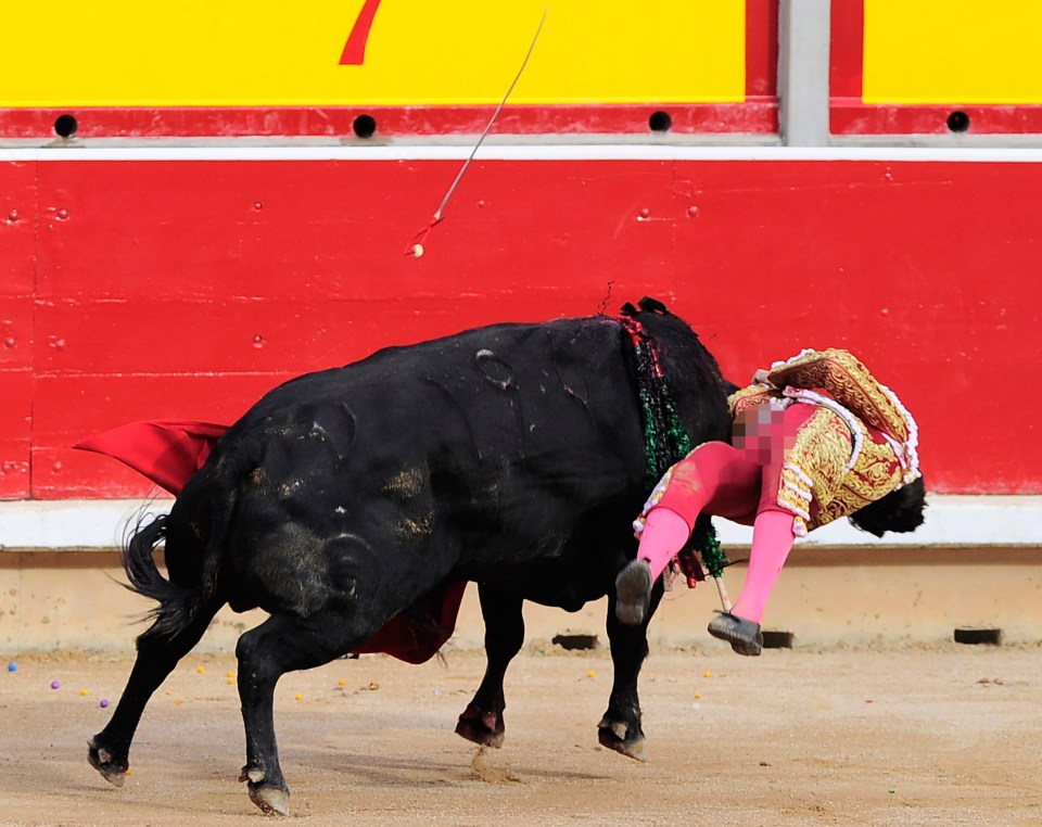 matador gored