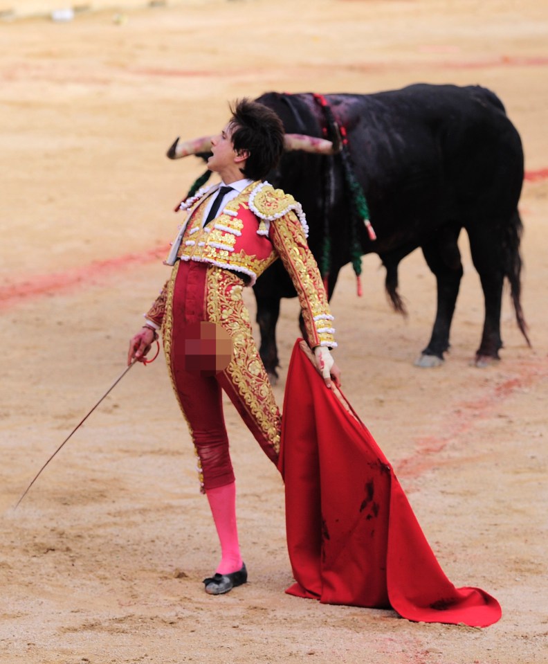 matador gored