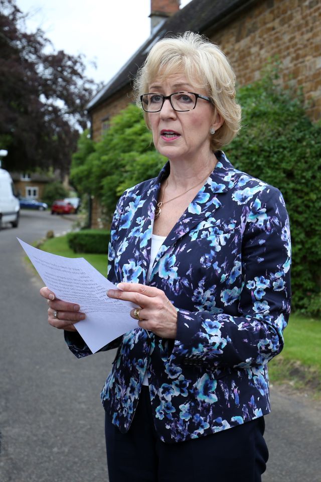 Conservative leadership bid
