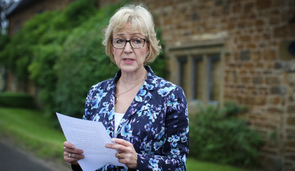 Andrea Leadsom 