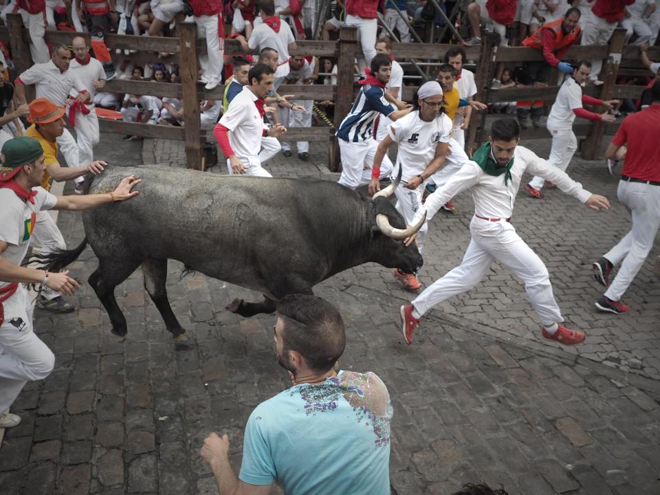 Up to six bulls are released down the cobbled streets of Pamplona during the four-minute run