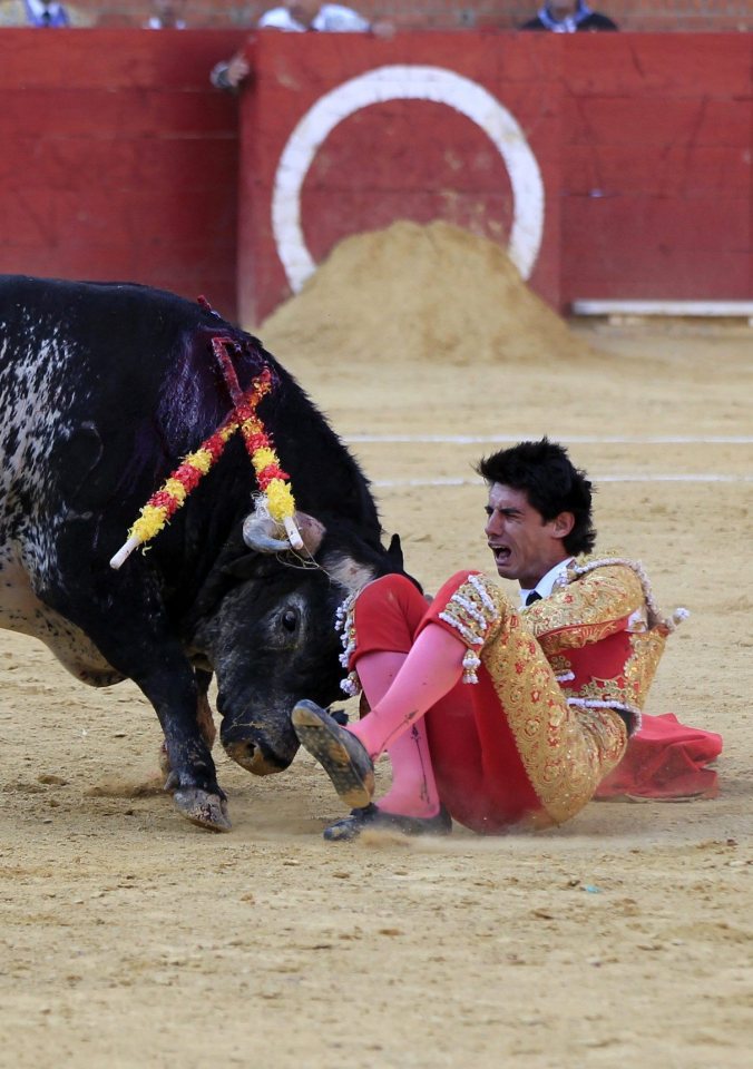 Bullfighter dies at Feria del Angel